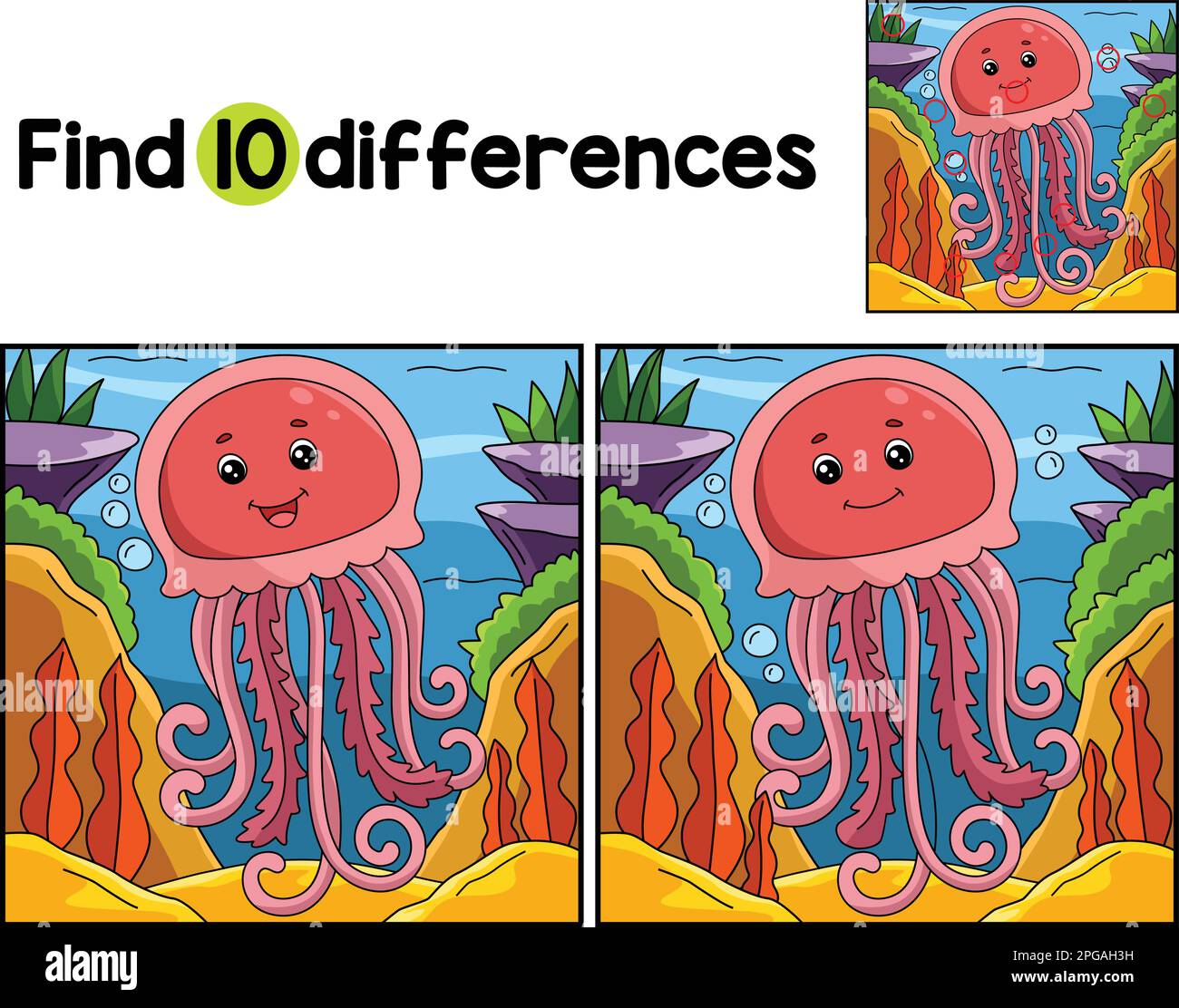 Jellyfish Animal Find The Differences Stock Vector Image & Art - Alamy