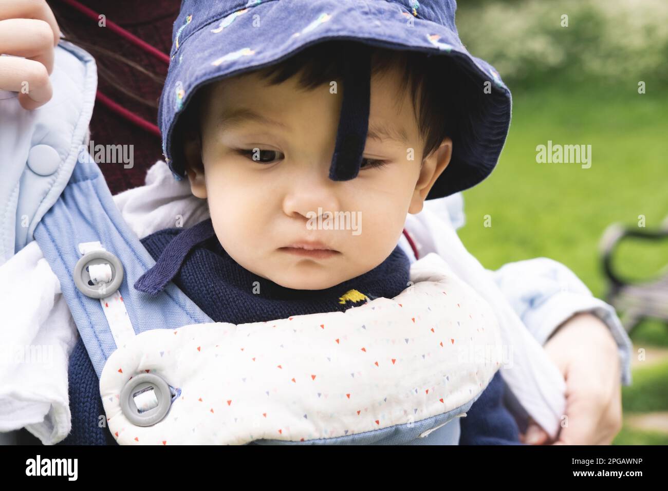 Close-up photo of a male infant carried by his unrecognizable parent on a baby carrier wearing a blue misplaced hat. He is sad and looking down, feeli Stock Photo