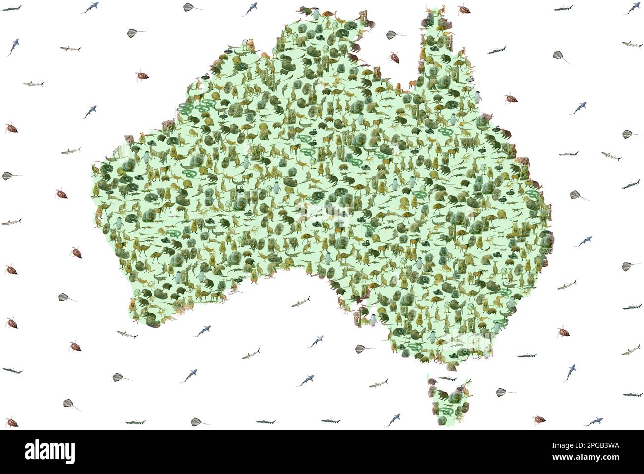 Australian animals in Australian map. Wildlife animals: Emu, Echidna, Tasmanian Devil, Wombat, Kangaroo, Wallaby and Penguin, Ducks, Snakes Lizards Stock Photo