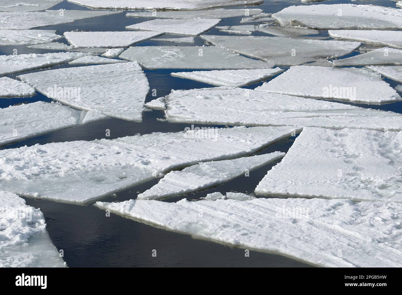 Floating ice sheets, Chateauguay River, Province of Quebec, Canada
