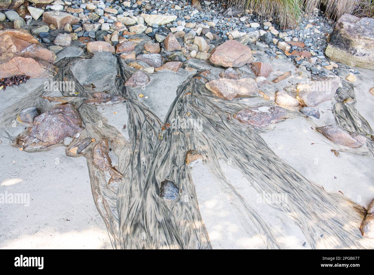 The alluvial fan of a small creek outflow forms a delta of sediment on the white sand beach in Stewart island, New Zealand. Stock Photo