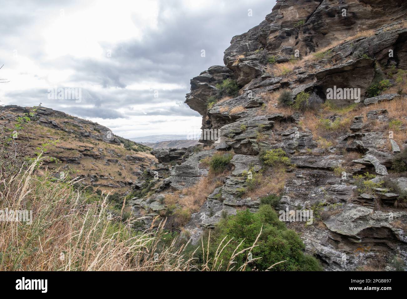Mokomoko dryland sanctuary in the Otago dryland heartland in the South island of New Zealand. A rare and threatened ecosystem. Stock Photo