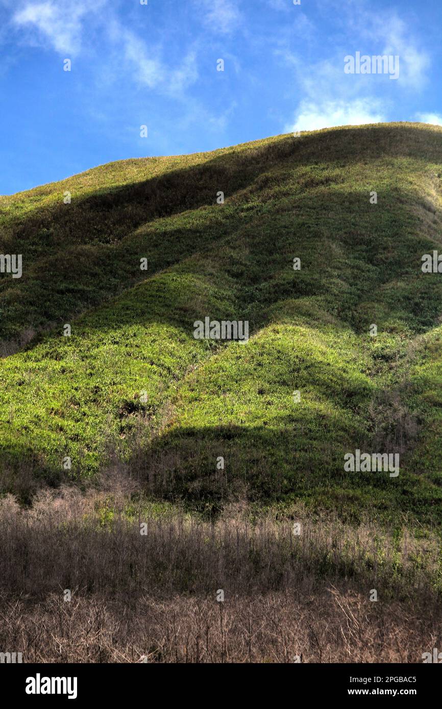 Vegetation of shrubs and bushes on the slopes of Mount Lokon, an active volcano in Tomohon, North Sulawesi, Indonesia. Stock Photo
