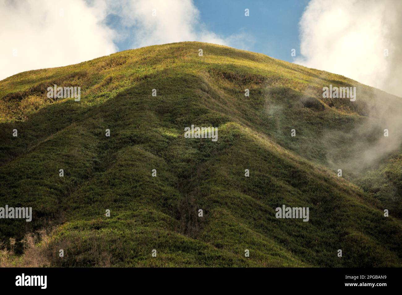 Vegetation of shrubs and bushes on the slopes of Mount Lokon, an active volcano in Tomohon, North Sulawesi, Indonesia. Stock Photo