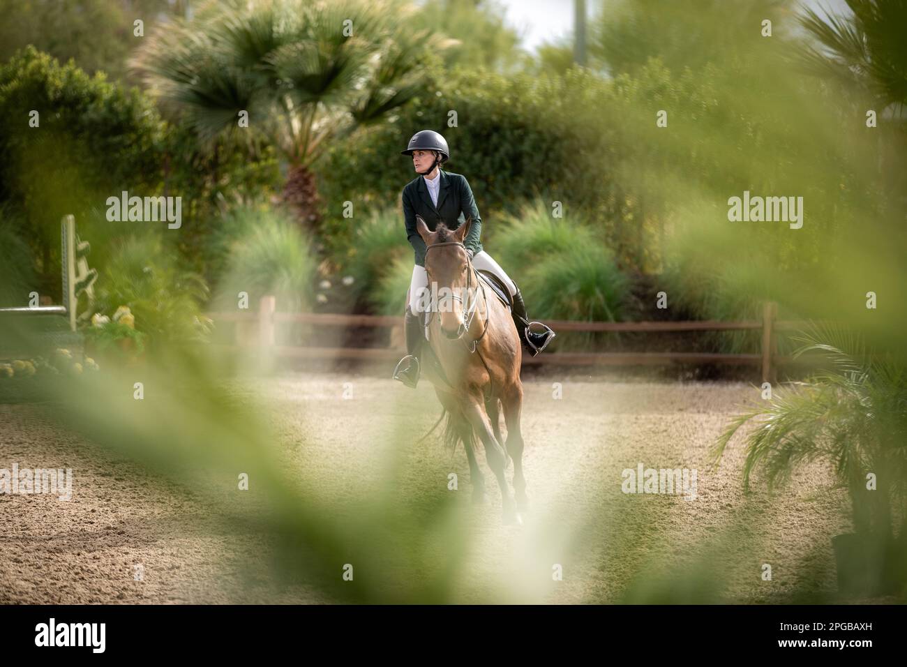An equestrian rider competes in the Hunter Division during the 2023