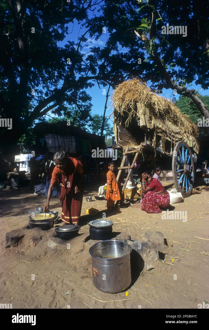 A Village woman making food during temple festival at Alagar Koyil; Alagar Kovil, Tamil Nadu, India Stock Photo