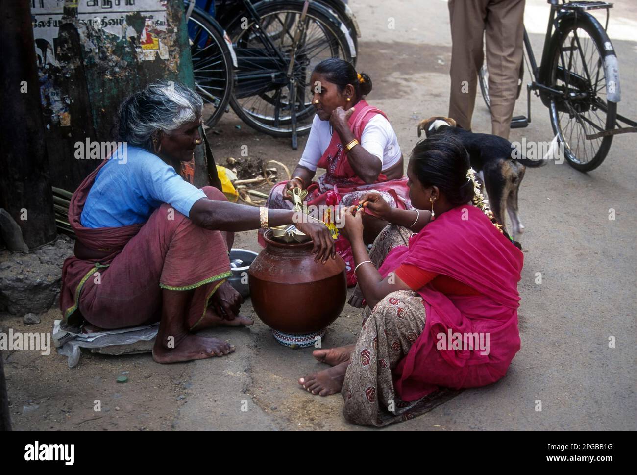 An old woman selling Neera at Madurai, Tamil Nadu, India. Neera, also ...