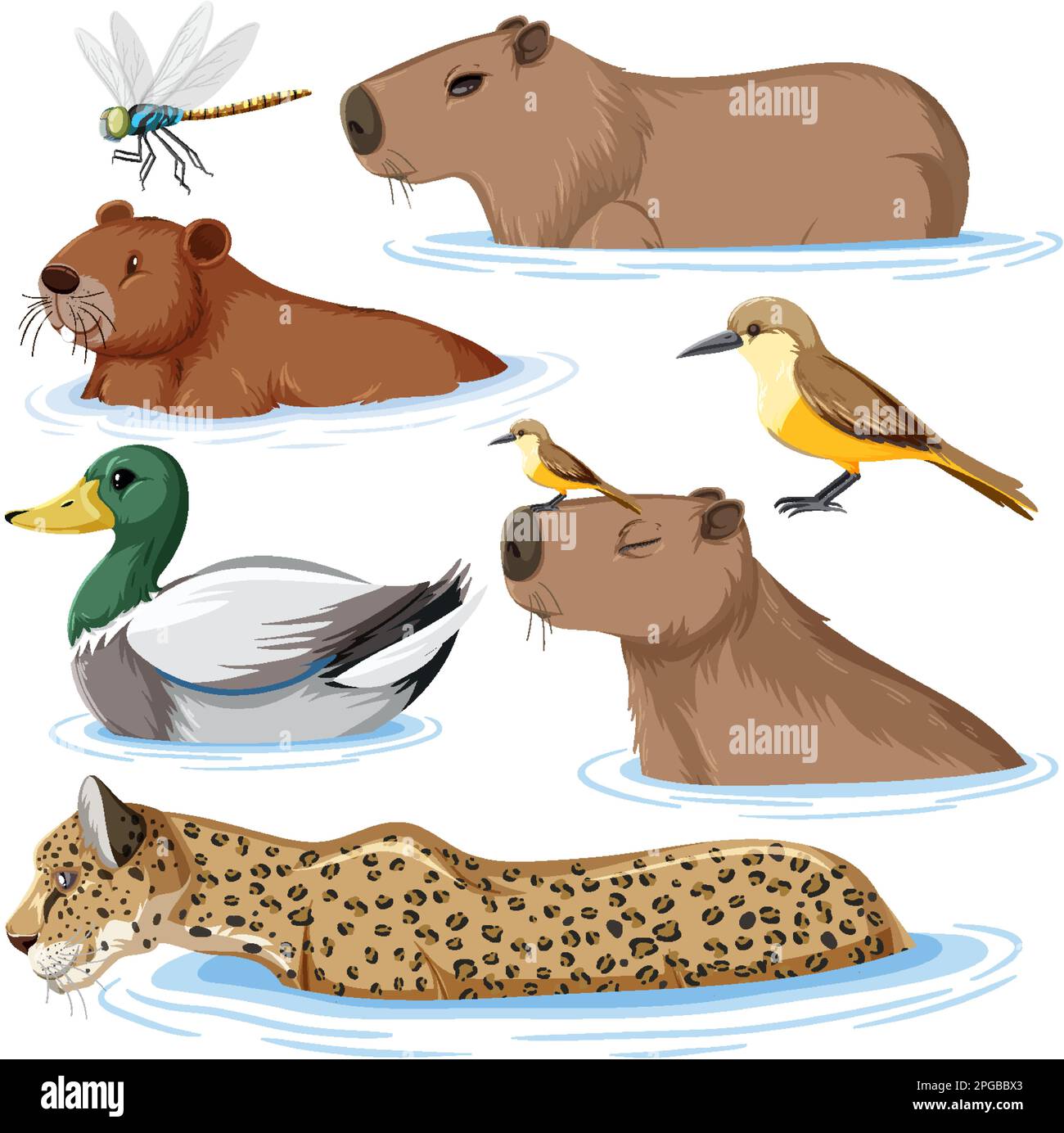 Set of wild animals illustration Stock Vector Image & Art - Alamy