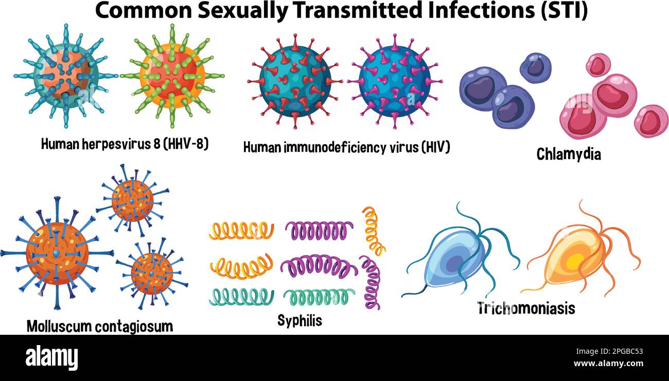 Common Sexually Transmitted Infections Sti Illustration Stock Vector Image And Art Alamy 2545