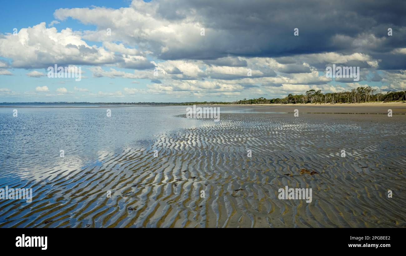 Expanse of rippled sand exposed at low tide, with a view to the distant tree lined Beach and rain clouds reflected in the water Stock Photo