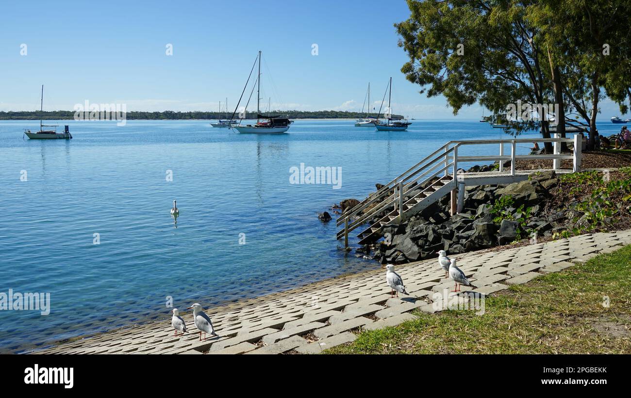Scene by the waters edge at Burrum heads with seagulls, pelican, yachts