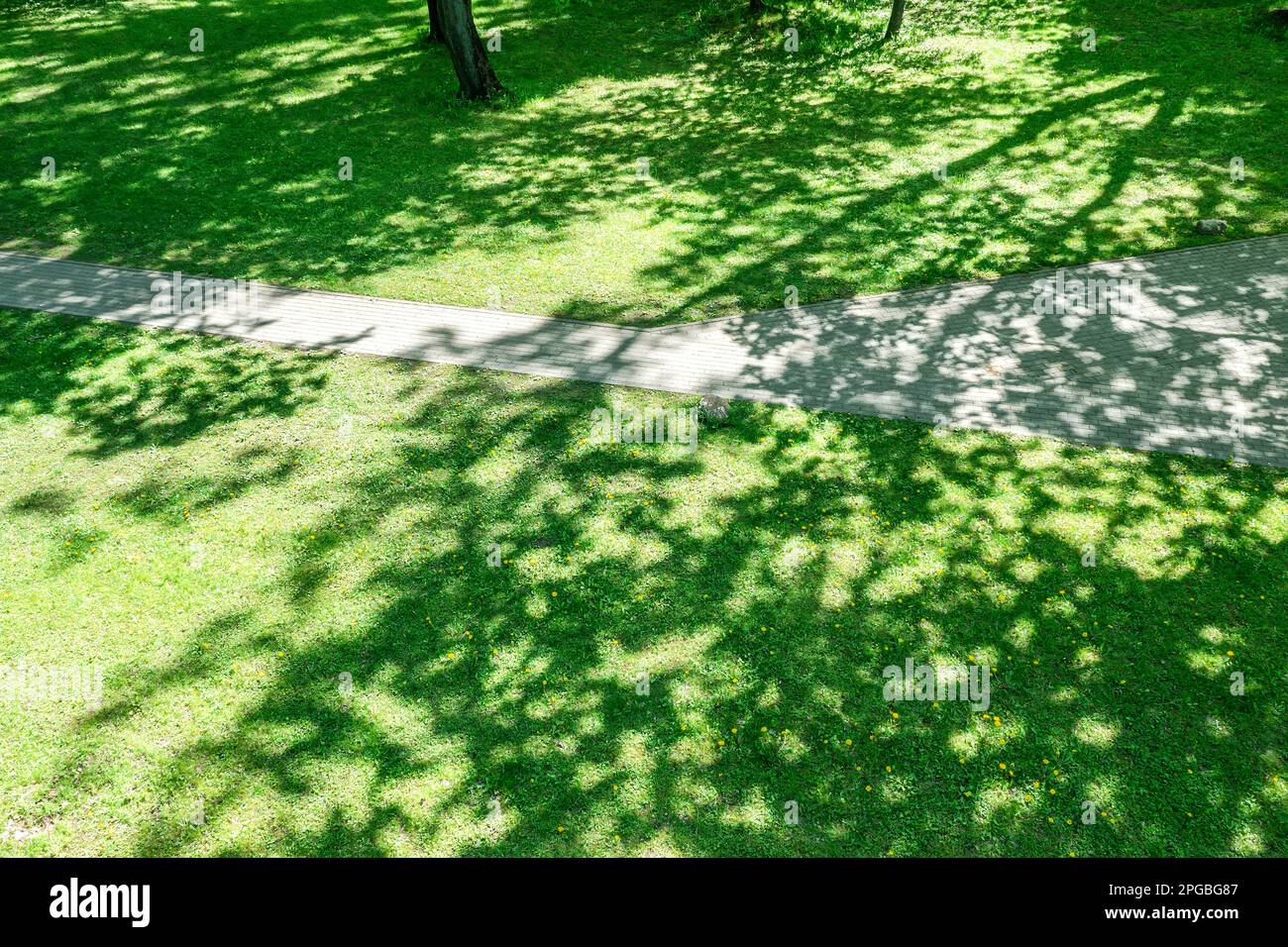 city public park at sunny spring day. shadows of trees on green grass and footpath. aerial view. Stock Photo