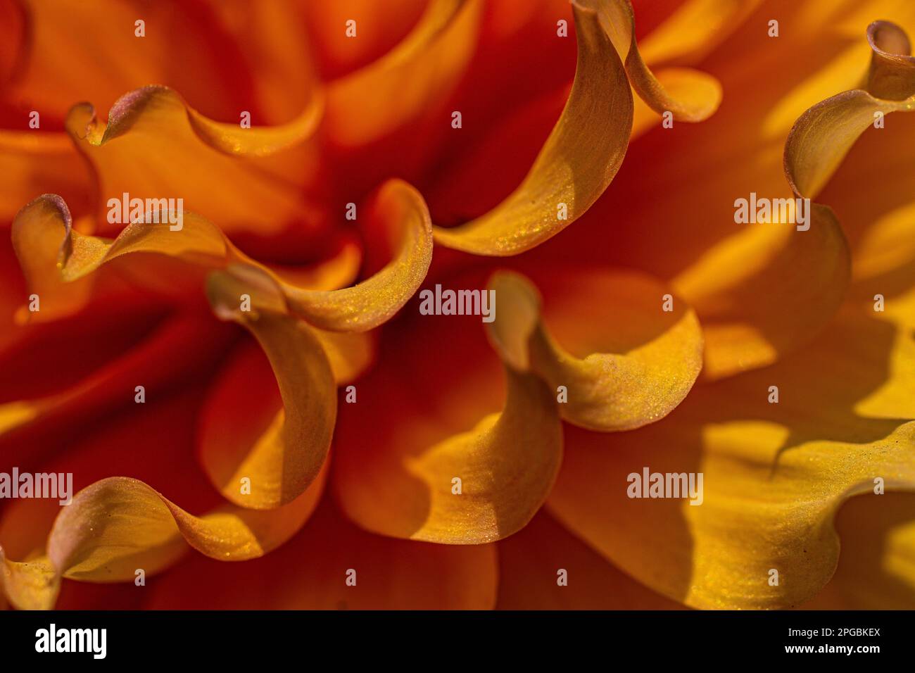 Orange color shapes hi-res stock photography and images - Alamy