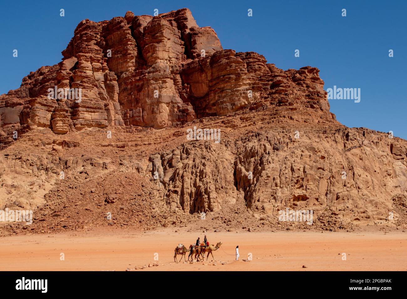 Camels and Mountain Terrain at Wadi Rum, Jordan Stock Photo