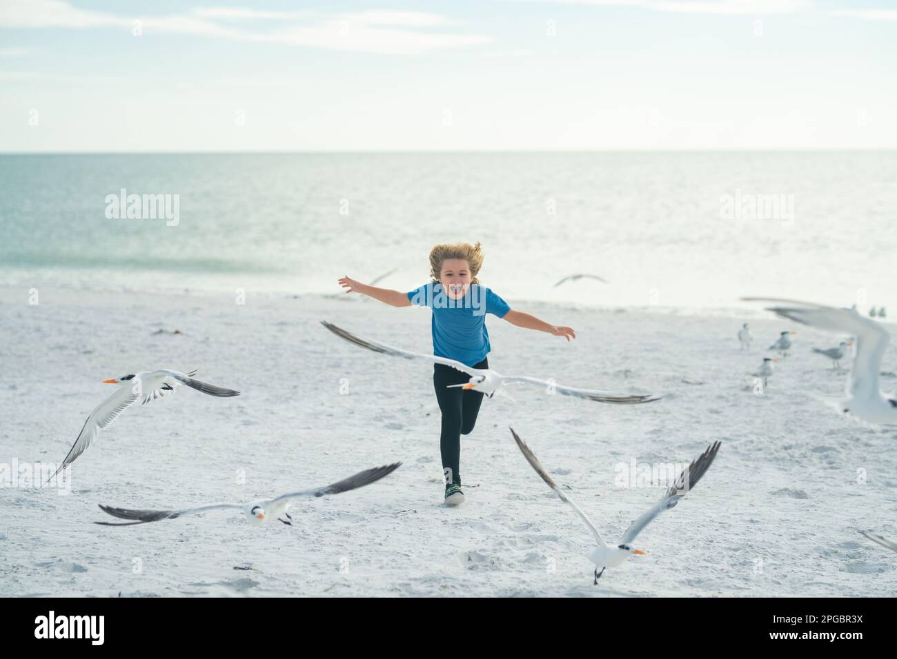 Carefree child. Kid runs along the coast and chases the birds. Seagull