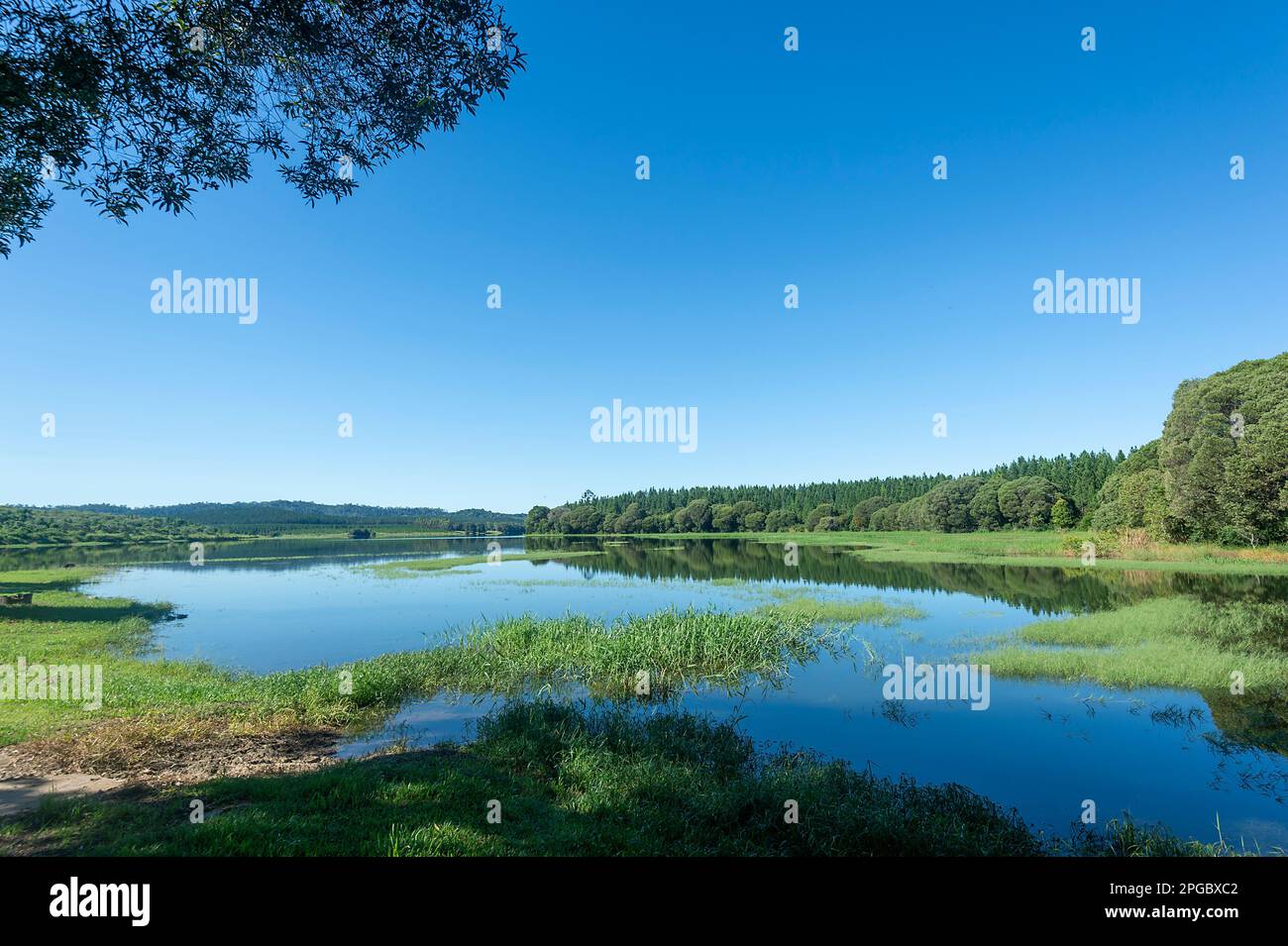 Scenic view of Lake Tinaroo, a popular scenic tourist attraction