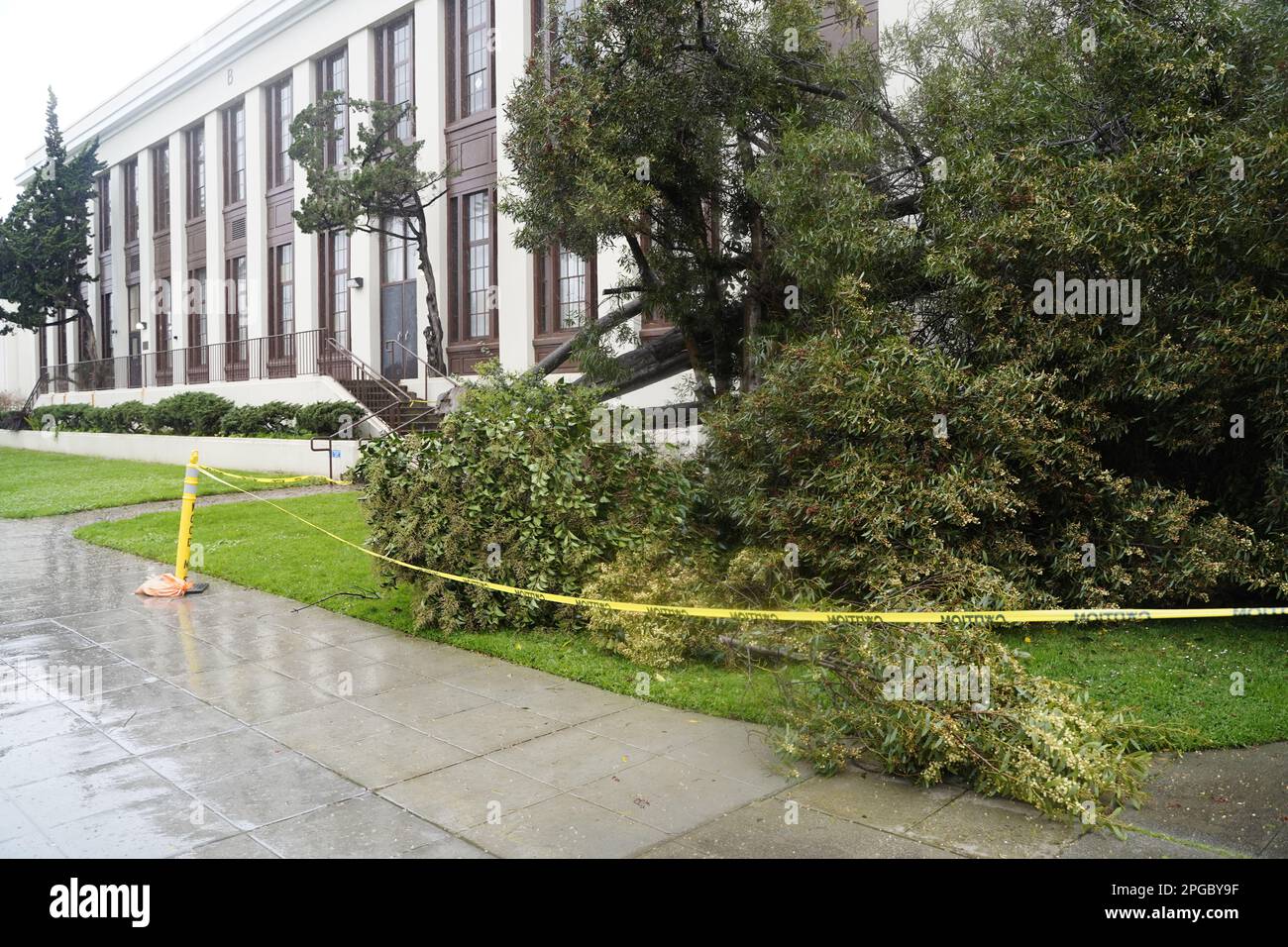 Damaged due to gusty winds hires stock photography and images Alamy