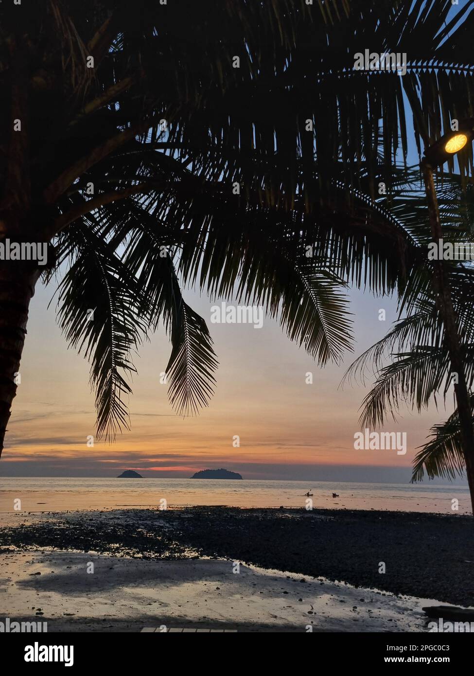 A tranquil tropical beach scene featuring a row of palm trees ...
