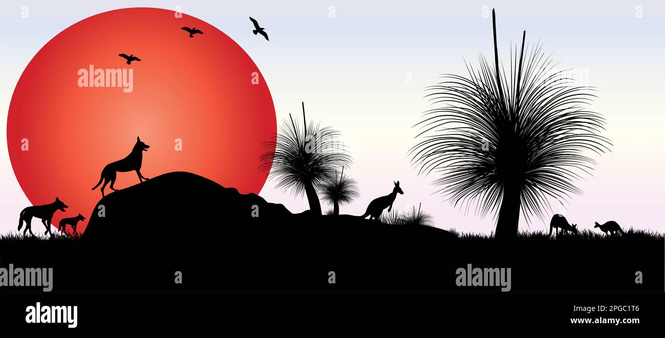 Silhouette of Grass tree or black boy tree at sunset with orange moon and Australian animals. Vector illustration. Stock Vector