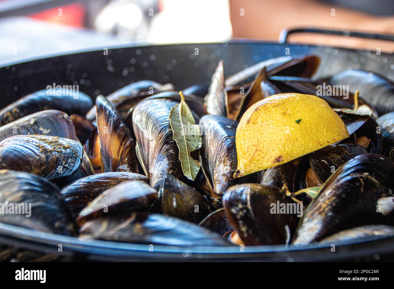 pan full of steamed mussels as served in a restaurant at Cangas , Galicia, Spain Stock Photo Alamy