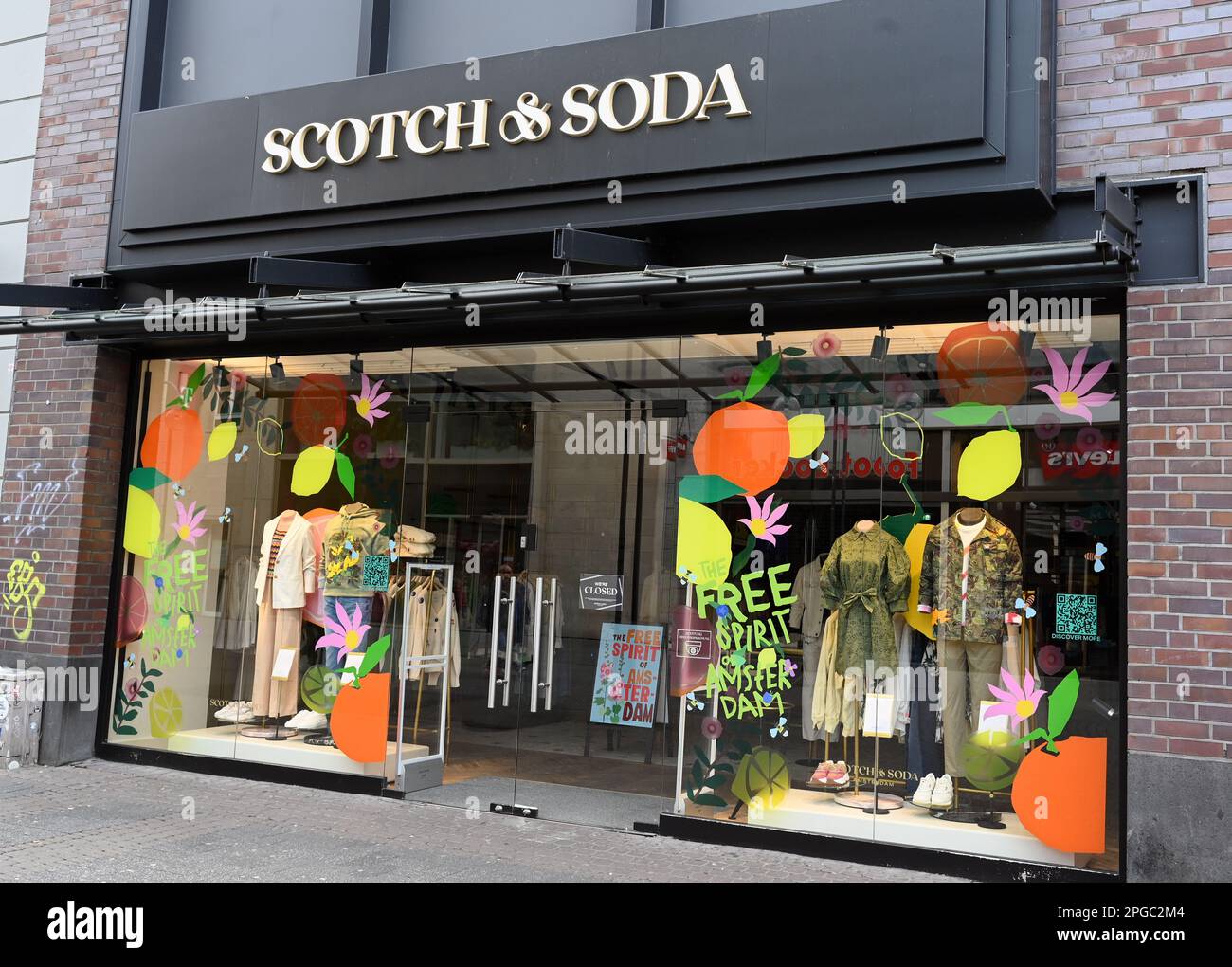 Scotch & Soda, Psycho Bunny to open at SouthPark mall - Charlotte Business  Journal