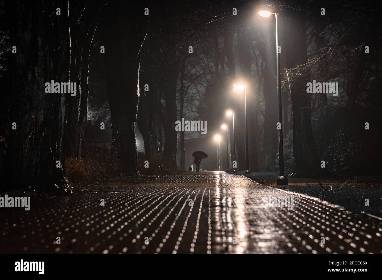 Foggy night walk hi-res stock photography and images - Alamy