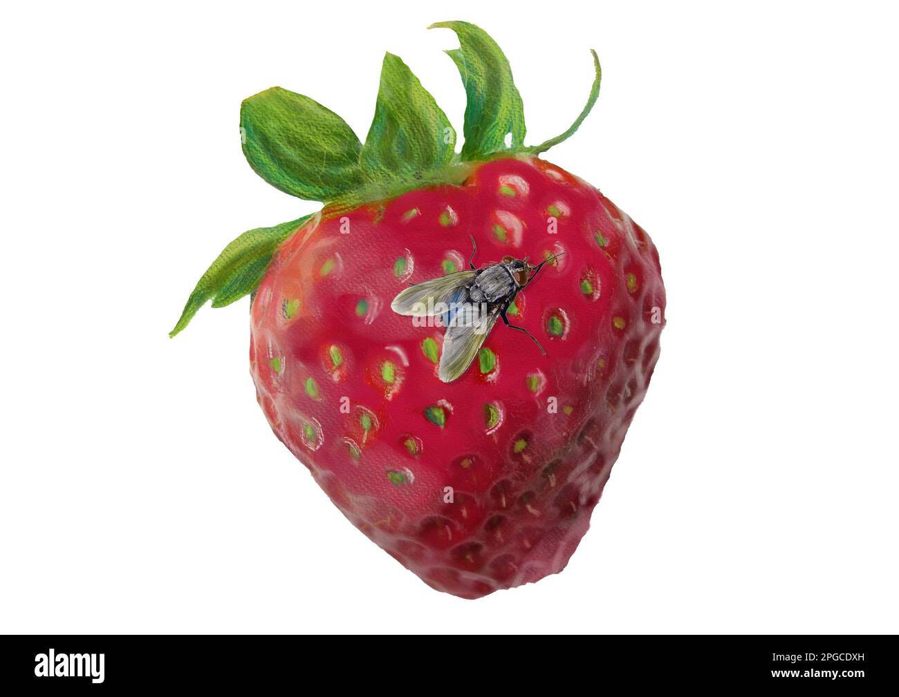 Eine gemalte Erdbeere mit Fliege Stock Photo