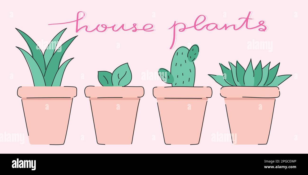Various house plants in the pots. Green house flowers with handwriting on light pink background. Simple line style Stock Vector
