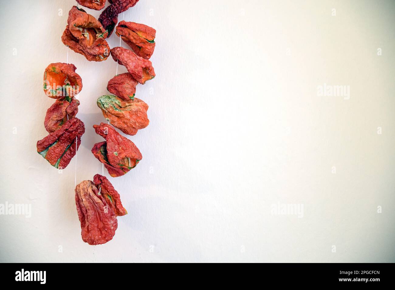 Dried green and red bell pepper hanged on the wall Stock Photo