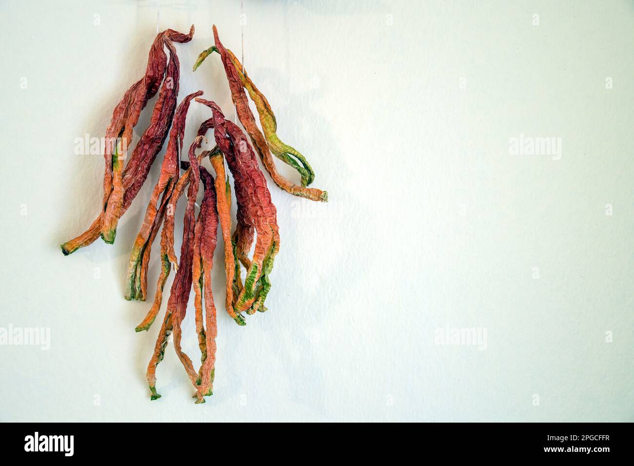 Dried green and red bell pepper hanged on the wall Stock Photo