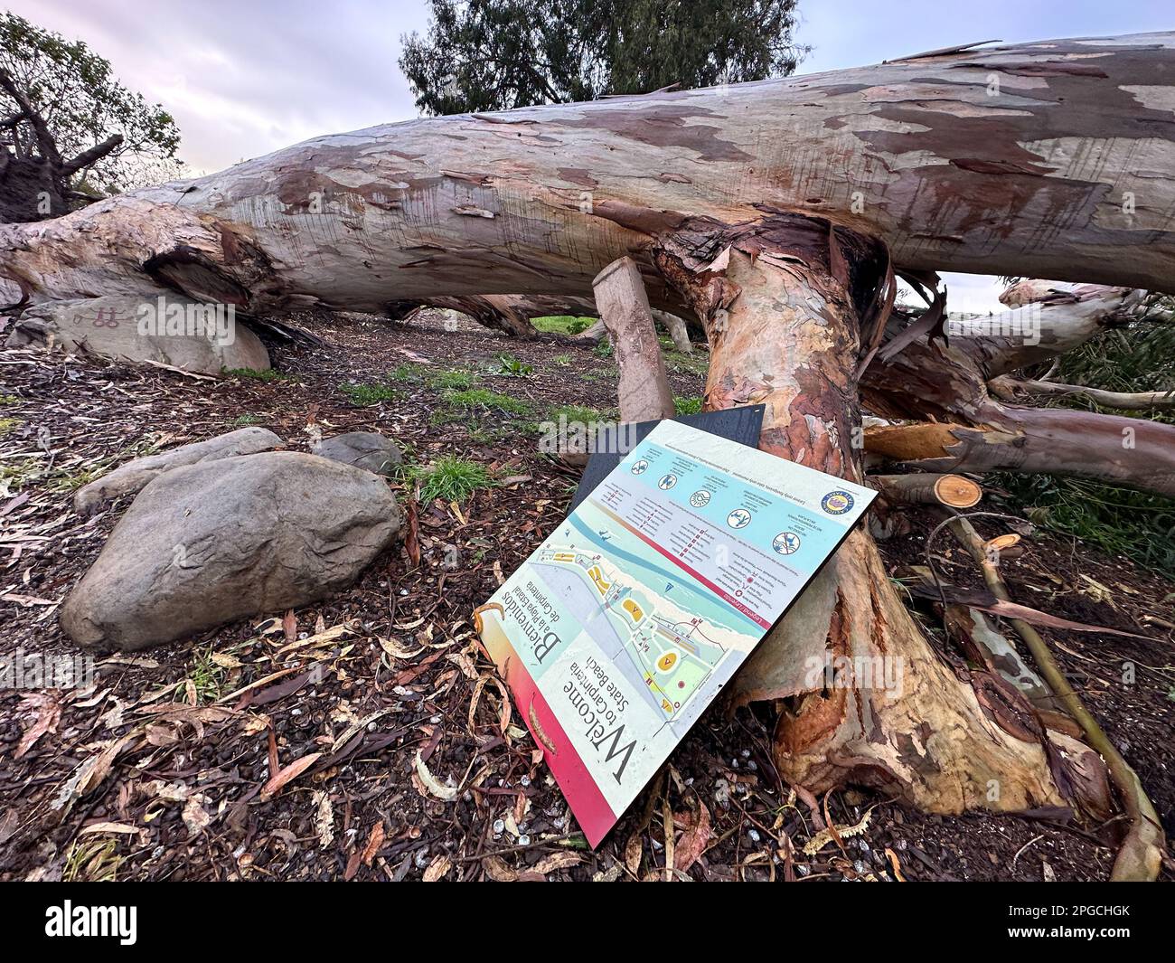 Carpinteria, California, USA. 21st Mar, 2023. A to Carpinteria