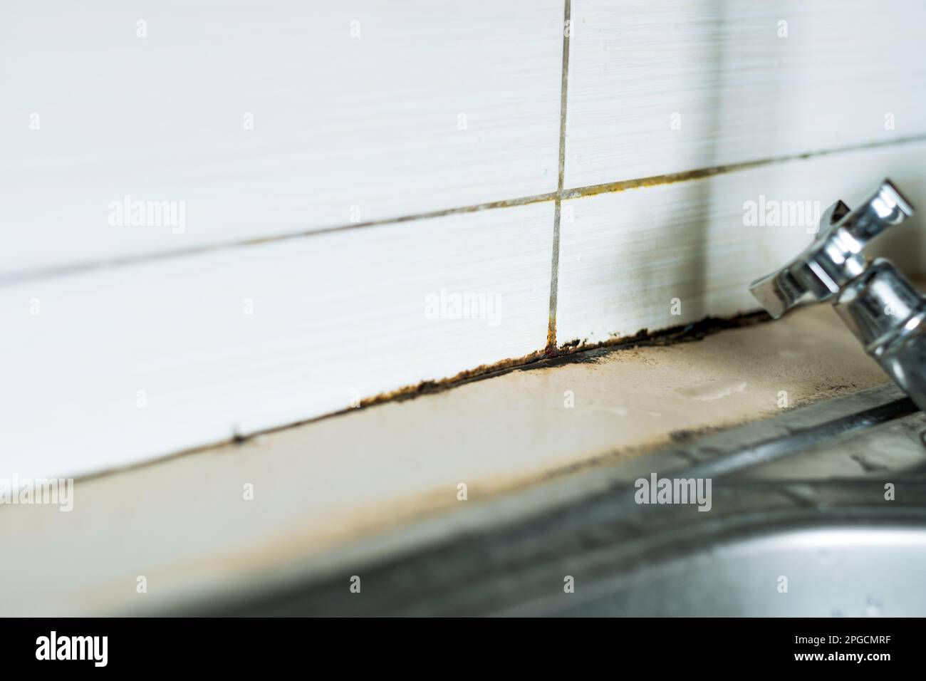 Focus on black mold on ceramic tile seams.Mildew mold on kitchen sink. Water leaking from the faucet. Toxic mold spores, unhealthy. Stock Photo