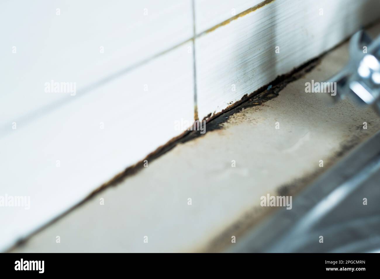 Focus on black mold on ceramic tile seams.Mildew mold on kitchen sink