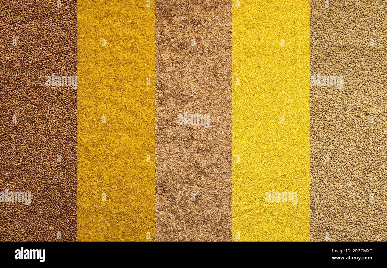 Various grain cereals banner, top view, brown buckwheat and bulgur