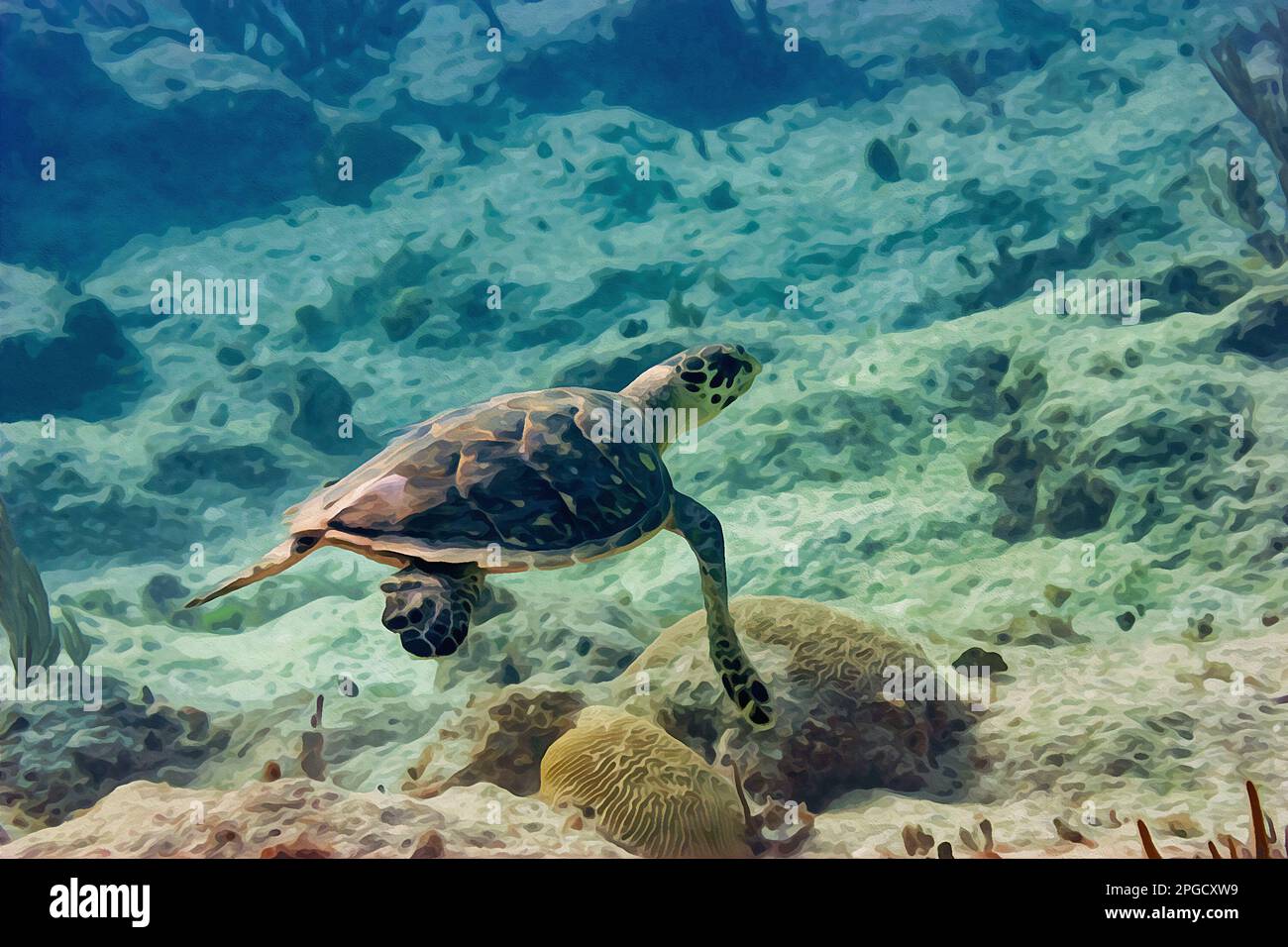Digitally created watercolor painting of green turtle cruising in the ...