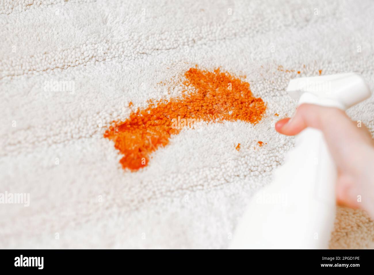 Ketchup stain on a white carpet indoors. Cleaning with a spray. closeup