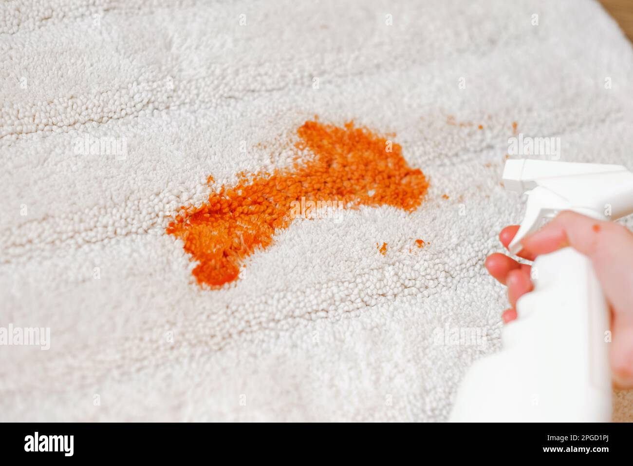 Tomato stain on a white carpet indoors. Cleaning and bleaching with a