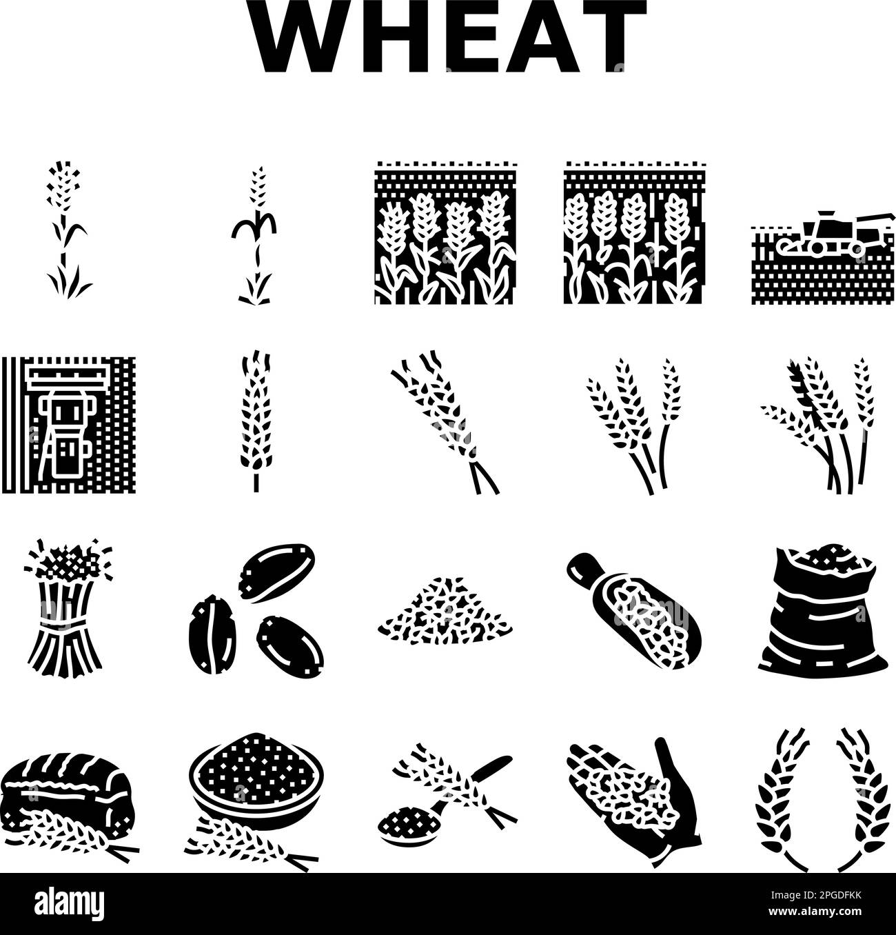 wheat grain bread harvest icons set vector Stock Vector Image & Art Alamy