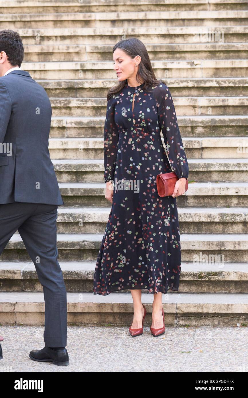 Madrid, Madrid, Spain. 22nd Mar, 2023. Queen Letizia of Spain attends Nebrija (c. 1444-1522)' Exhibition. The pride of being a grammarian 'Grammaticus Nomen est Professionis', in the framework of the activities taking place for the 5th centenary of the death of Elio Antonio de Nebrija at National Library on March 22, 2023 in Madrid, Spain (Credit Image: © Jack Abuin/ZUMA Press Wire) EDITORIAL USAGE ONLY! Not for Commercial USAGE! Stock Photo