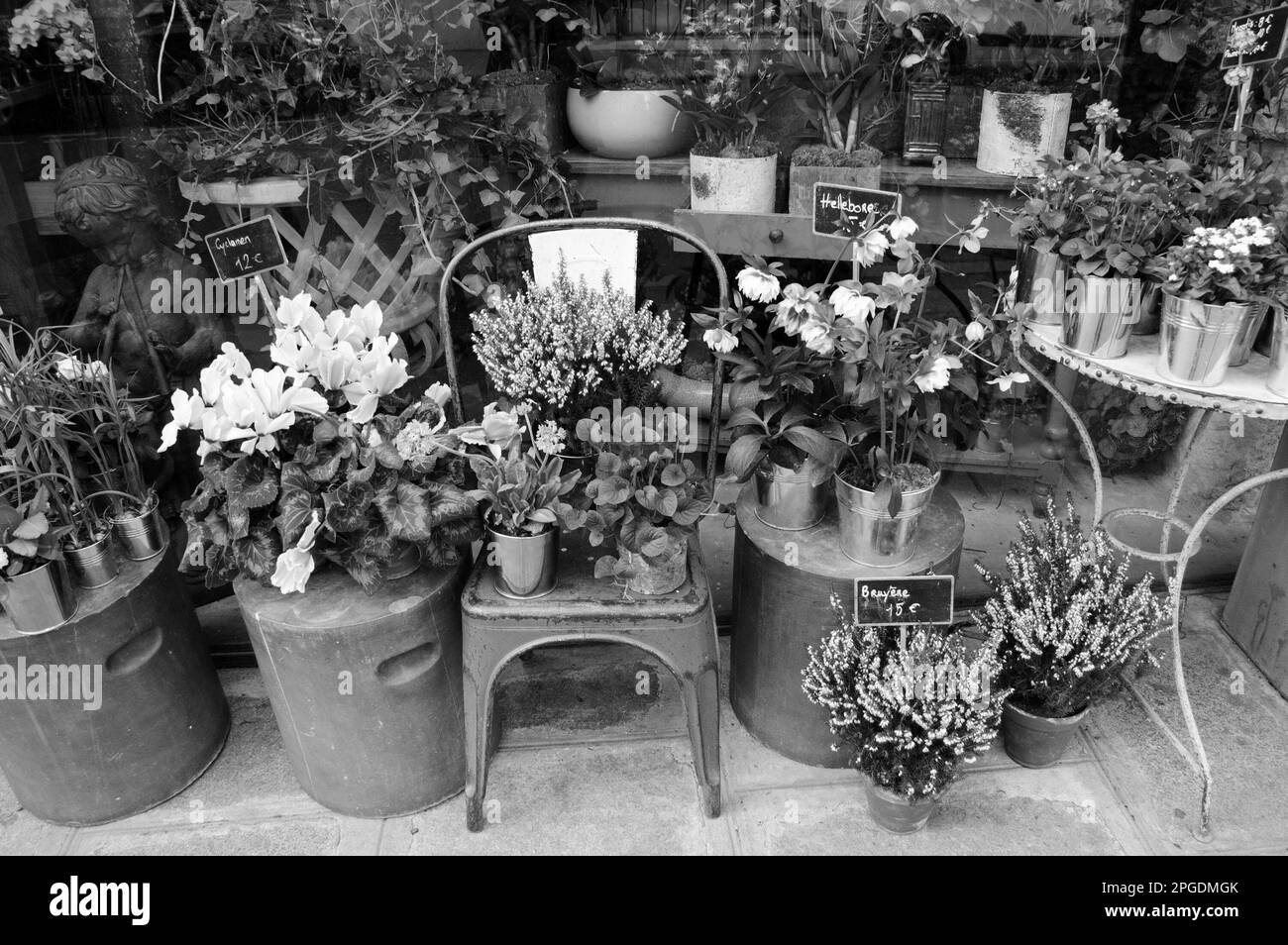 Outside of French flowers shop. Springtime. Paris, France. Black white