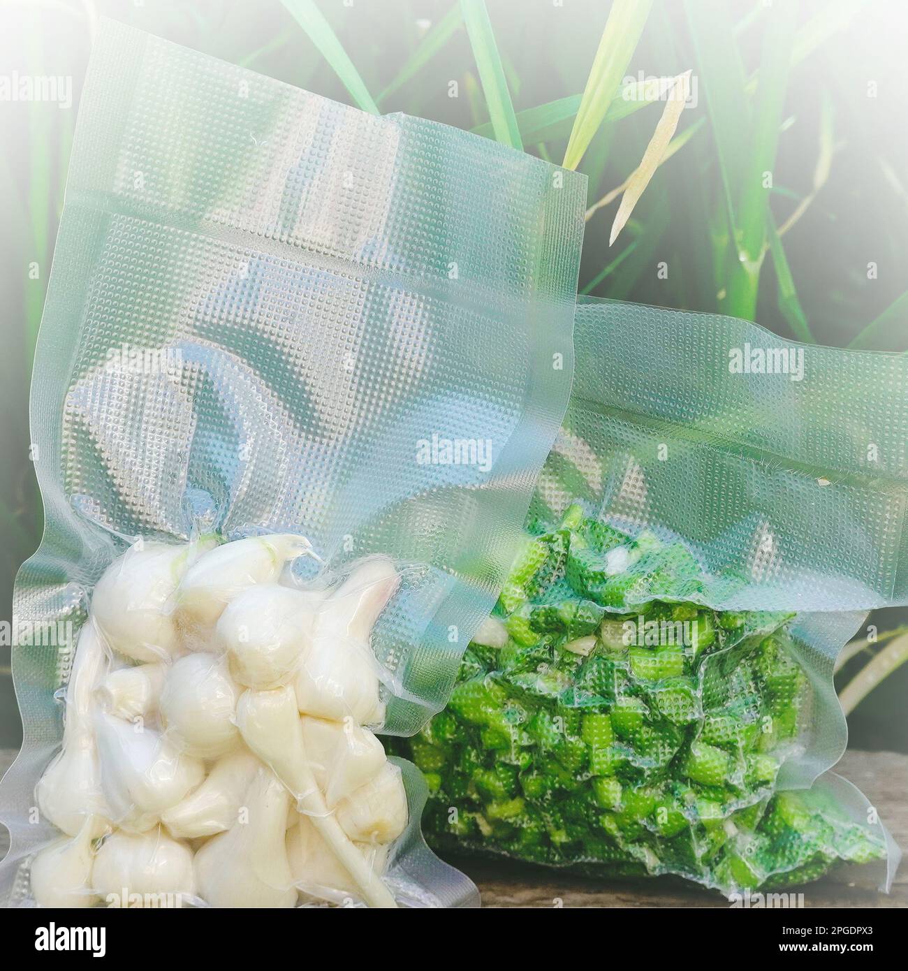 Harvest time, Vacuum Sealed Greenery. Fresh green vacuum sealed ready for sous vide cooking