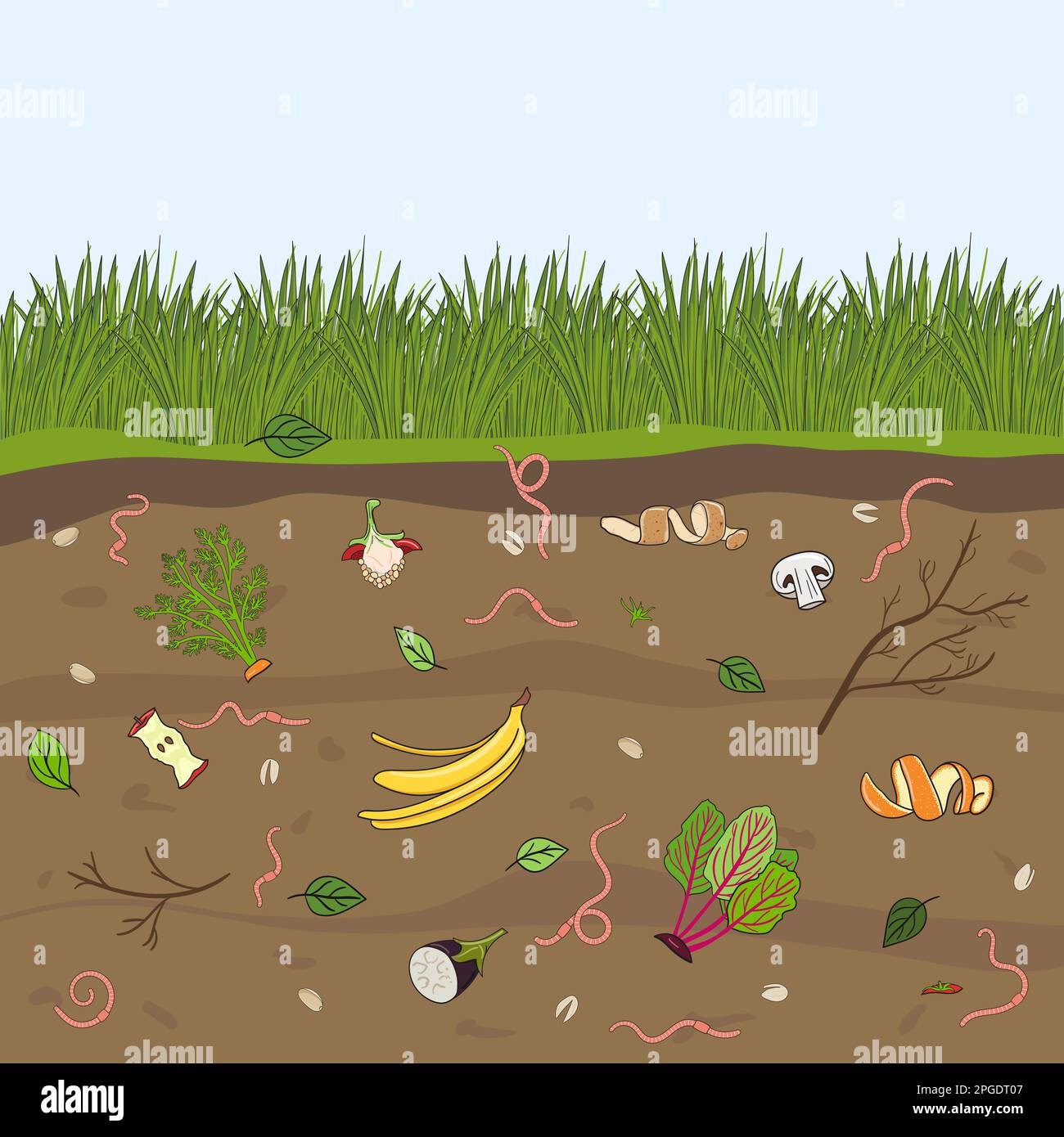 Ground cutaway with worms and food scraps. Pink earthworms in garden