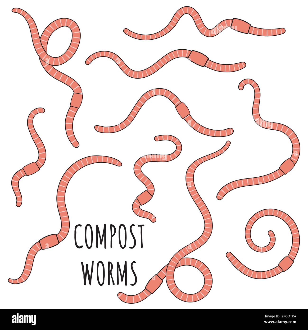 Set of pink earthworms. Worms for vermicomposting. Farming and agriculture. Hand drawn vector illustration. Stock Vector