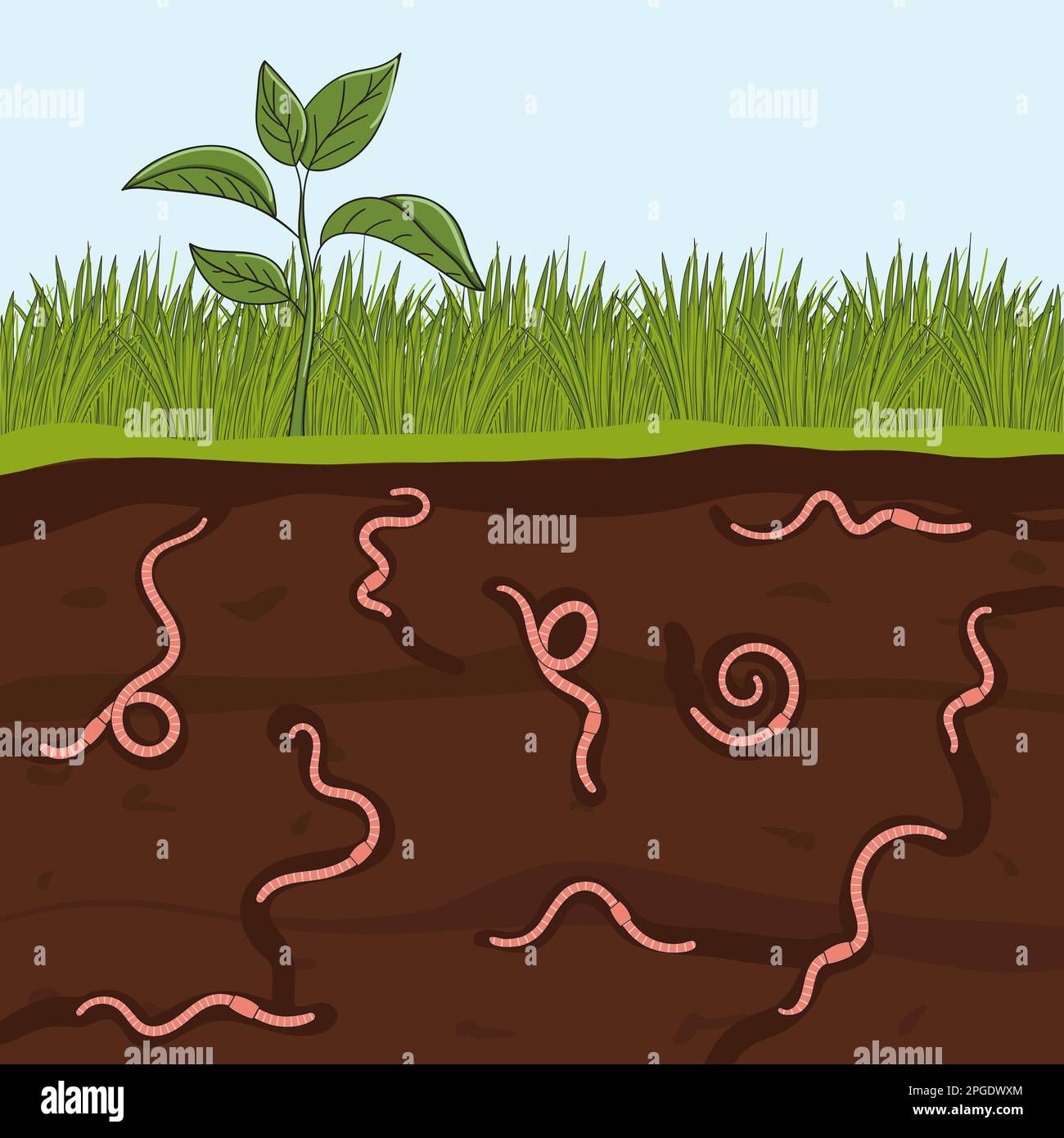 Pink earthworms in garden soil. Ground cutaway with worms. Farming and agriculture. Hand drawn vector illustration. Stock Vector