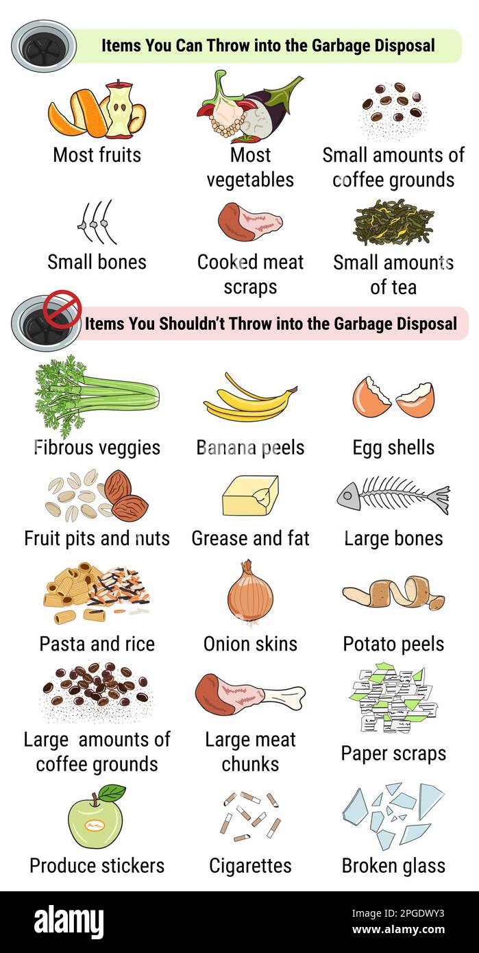 Infographic of food waste disposer for home kitchen sink with kitchen