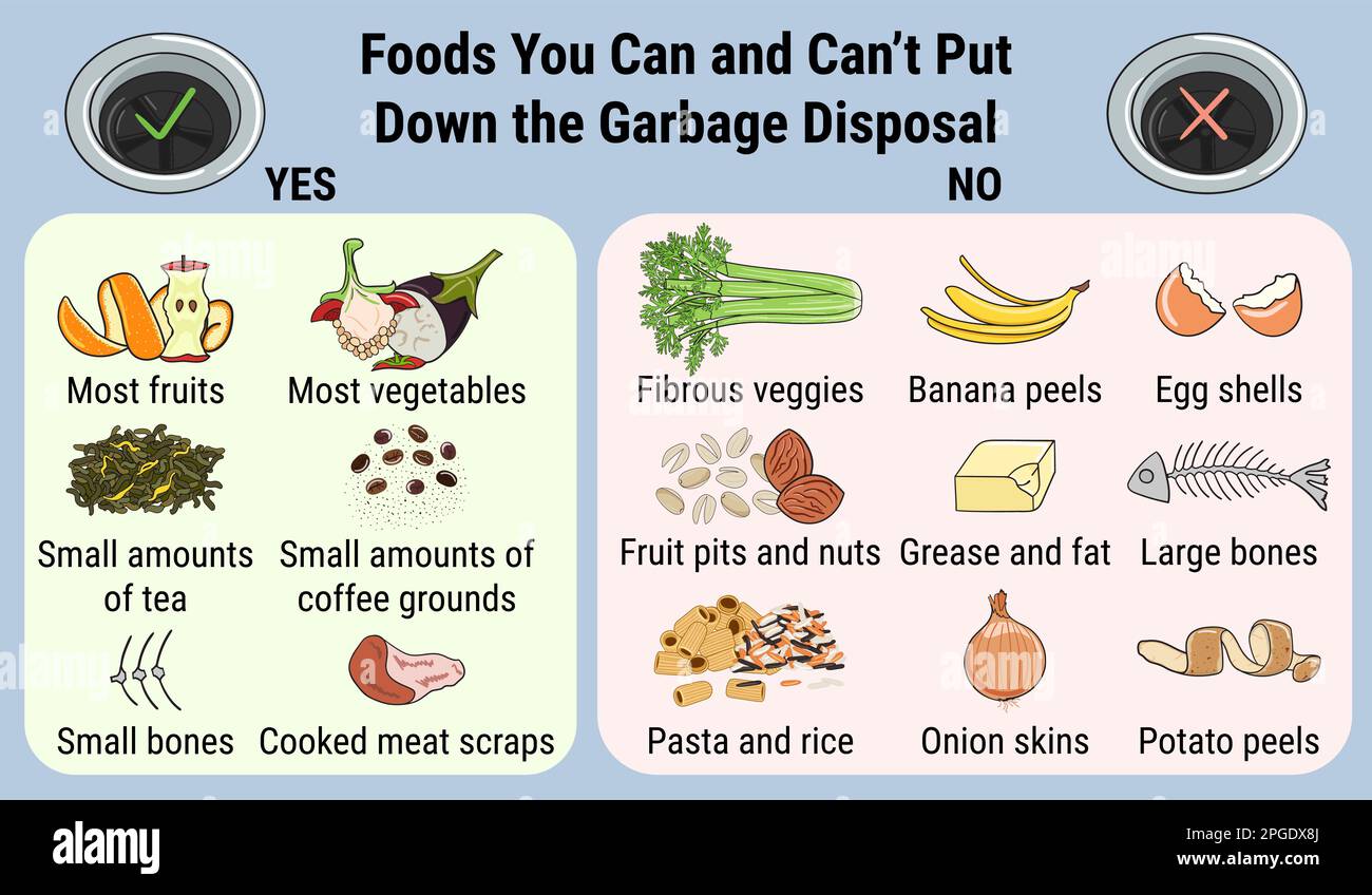 Infographic of food waste disposer for home kitchen sink with kitchen