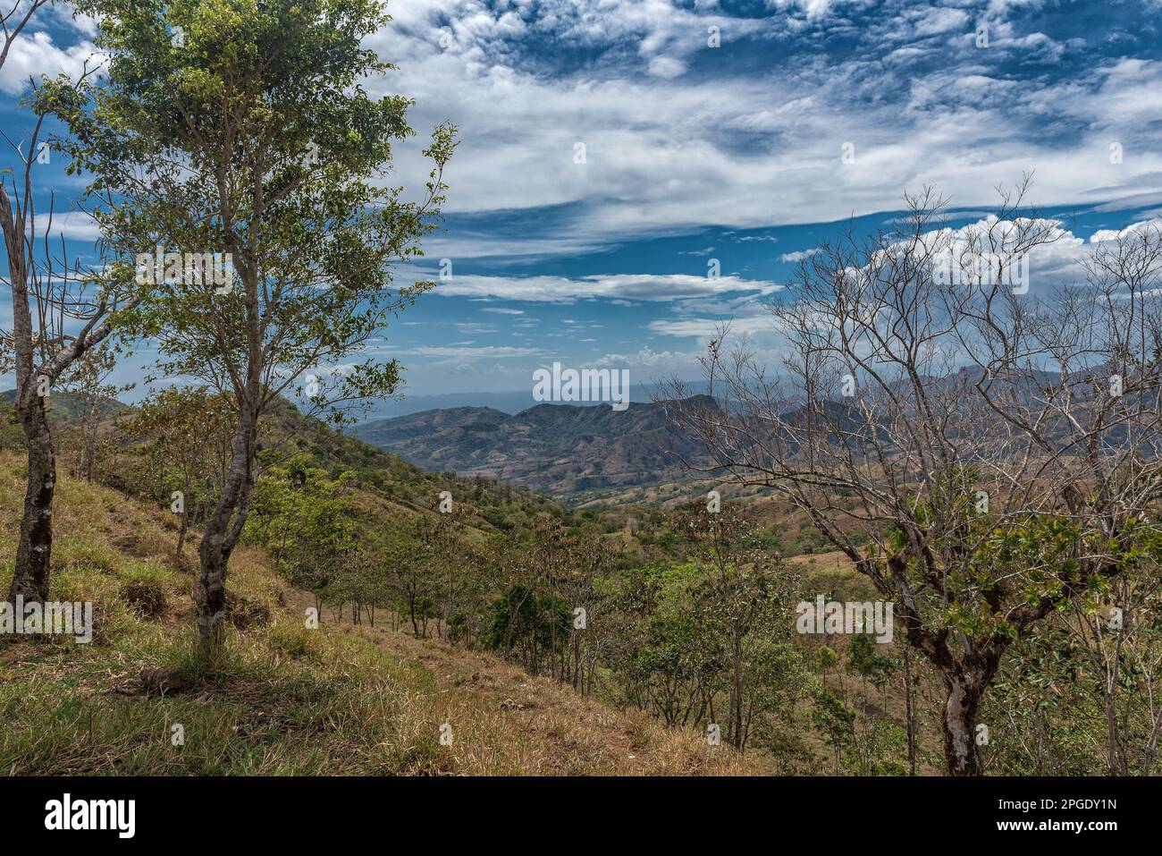 Green landscape in the Tabasara Mountains, Panama Stock Photo Alamy
