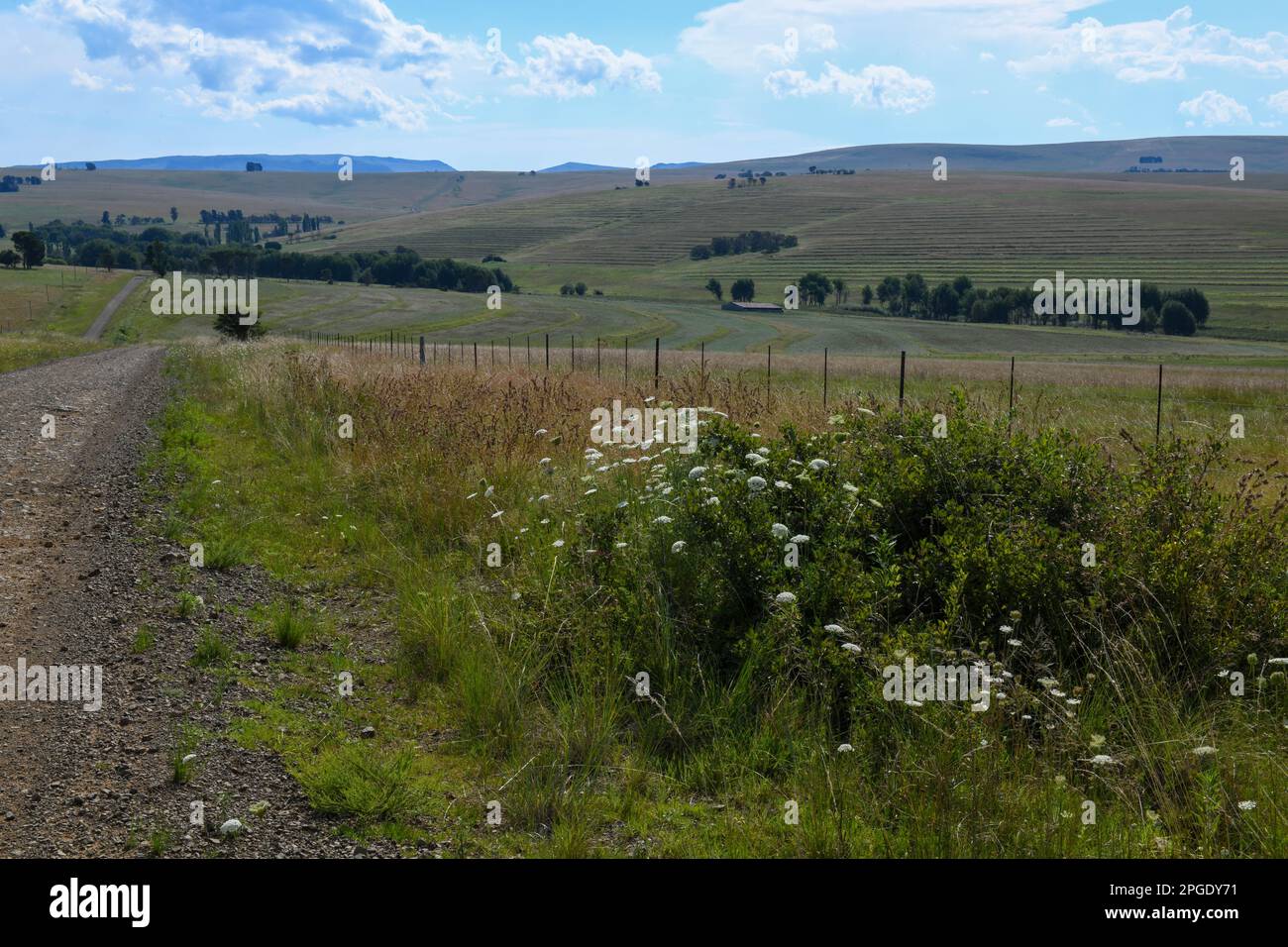 Landscape on the countryside near Hogsback in South Africa Stock Photo ...