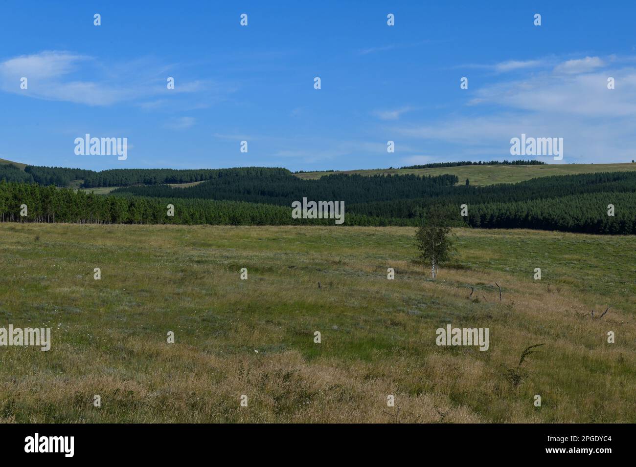 Landscape on the countryside near Hogsback in South Africa Stock Photo ...