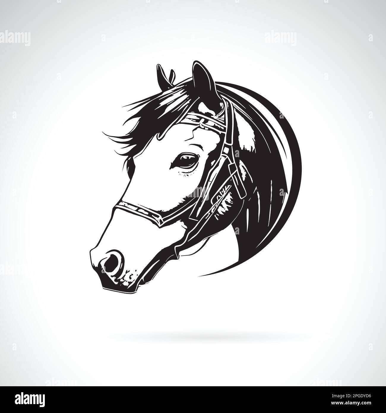 Vector of horse head design on white background. Easy editable layered